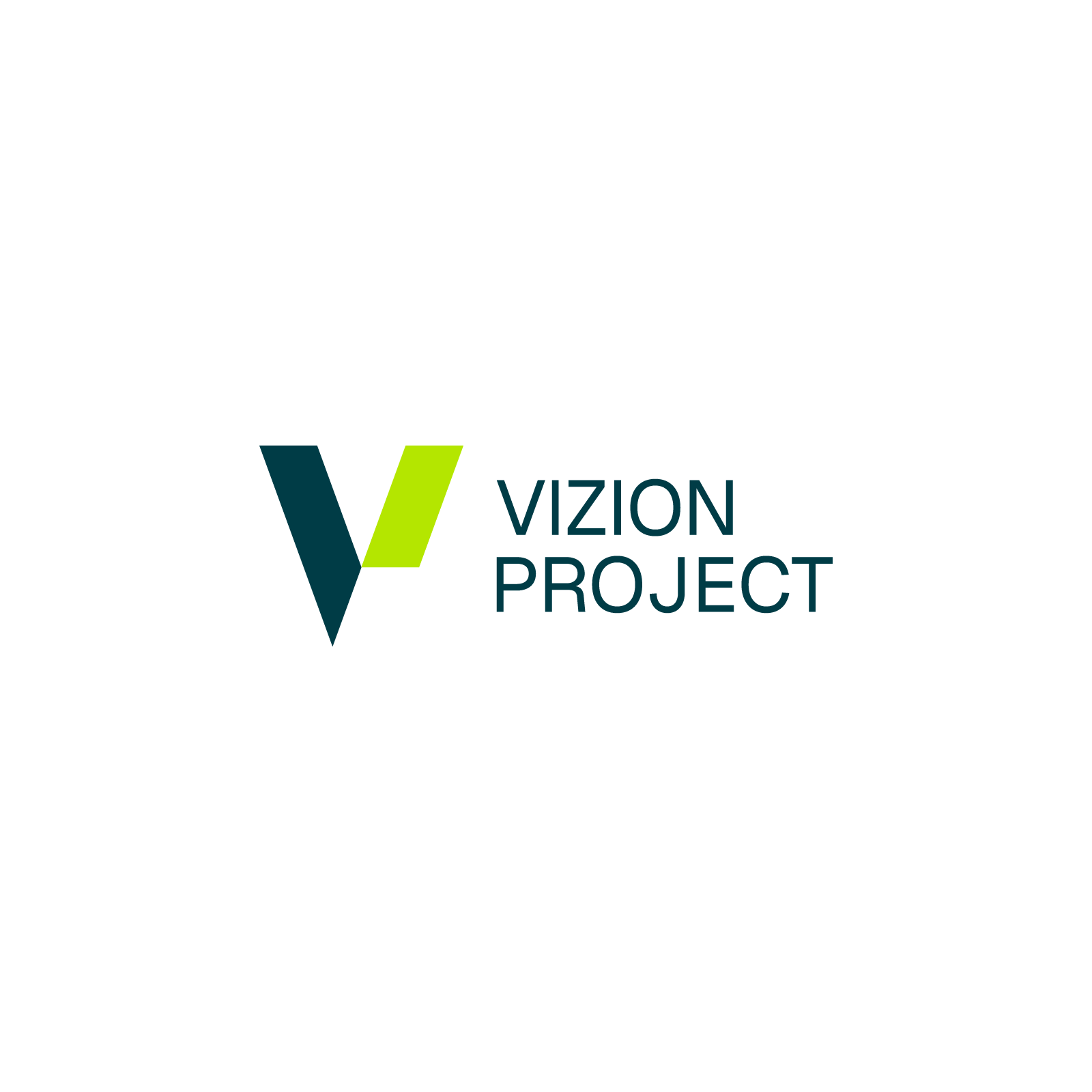 Vizion Project