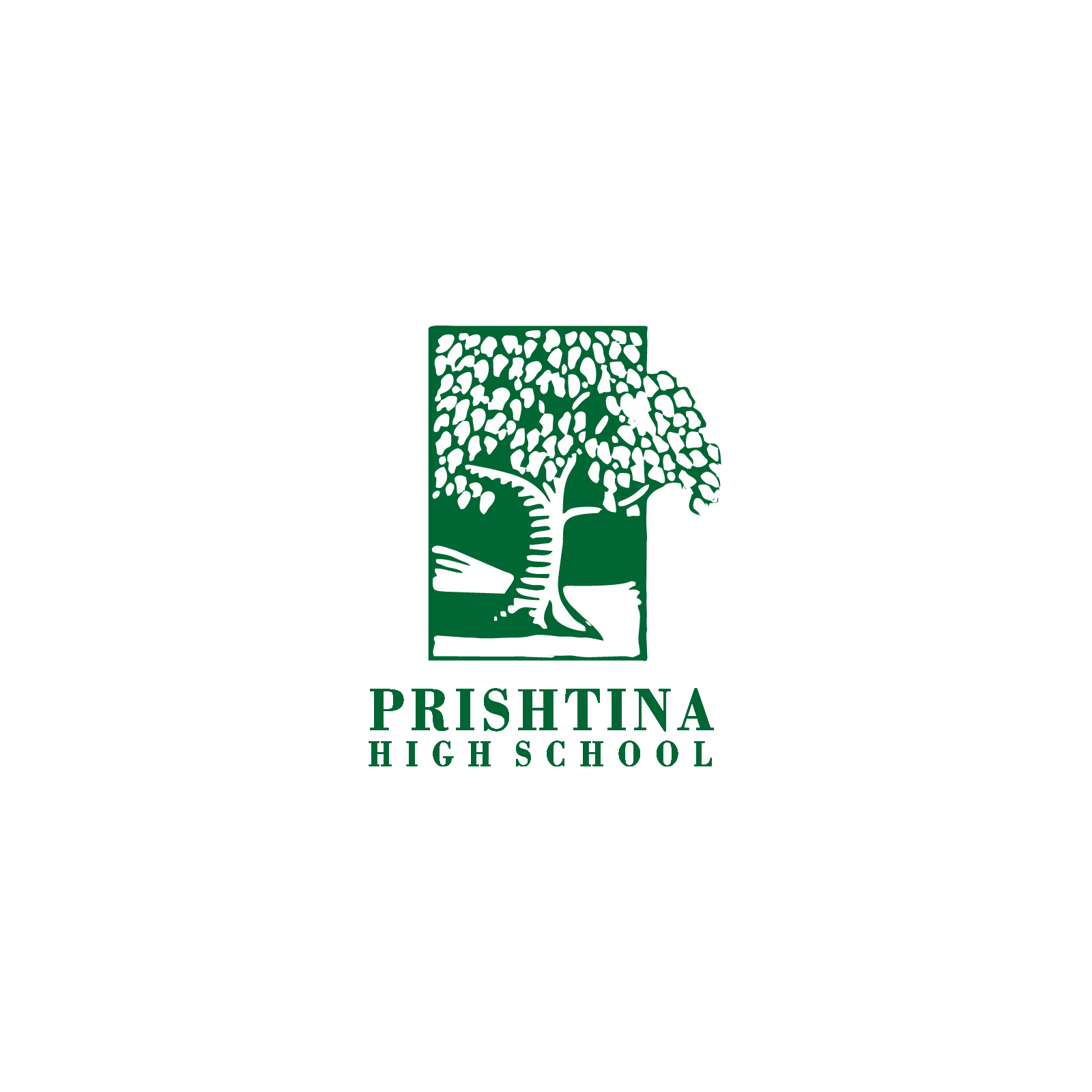 Prishtina High School