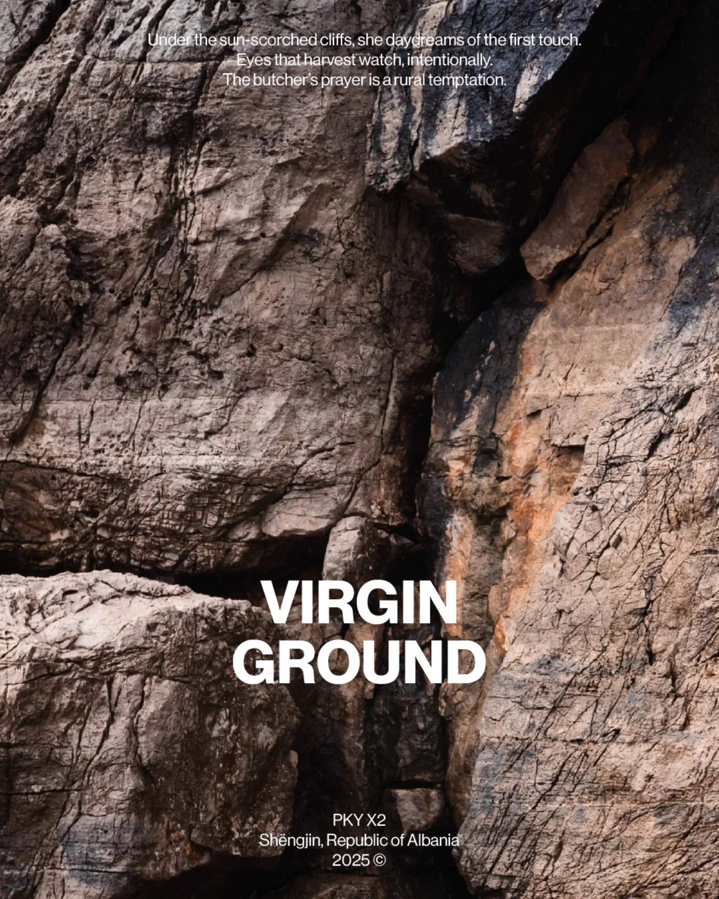 Virgin Ground